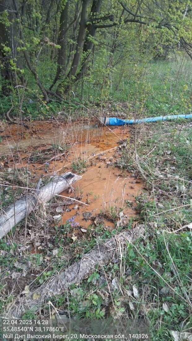Фото телеграм-канала "Русская Община ZOV".