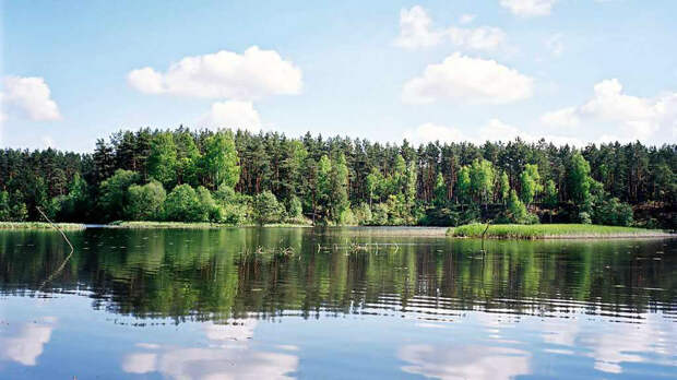 7. Пестовское водохранилище. москва, подмосковье, рыбалка