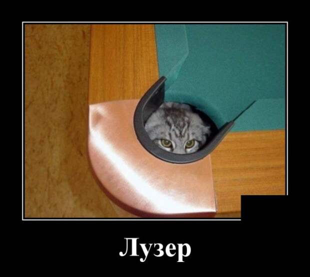 Демотиваторы (30 фото)