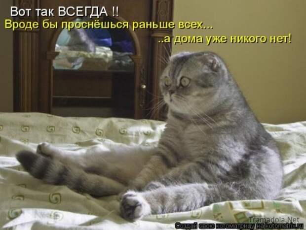 Подборка Котоматриц 2010 - Выпуск 28