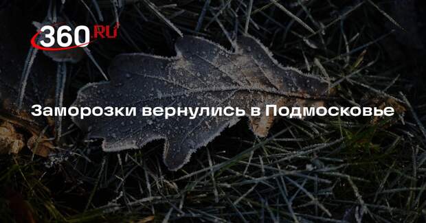 Синоптик Тишковец: в Московском регионе температура опускалась до -1,6 градуса