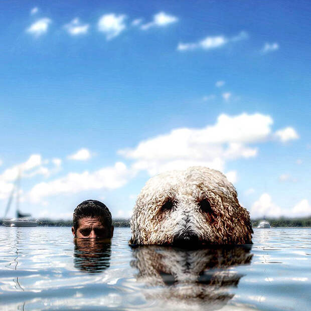 giant-dog-photoshop-adventures-juji-christopher-cline-13