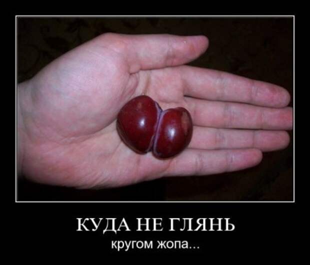 Веселая и прикольная подборка новеньких демотиваторов.!