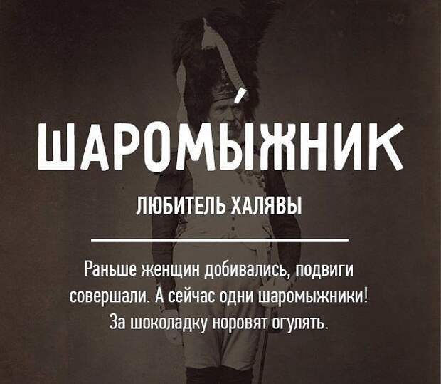 Редкие бранные слова русского языка (20 картинок)