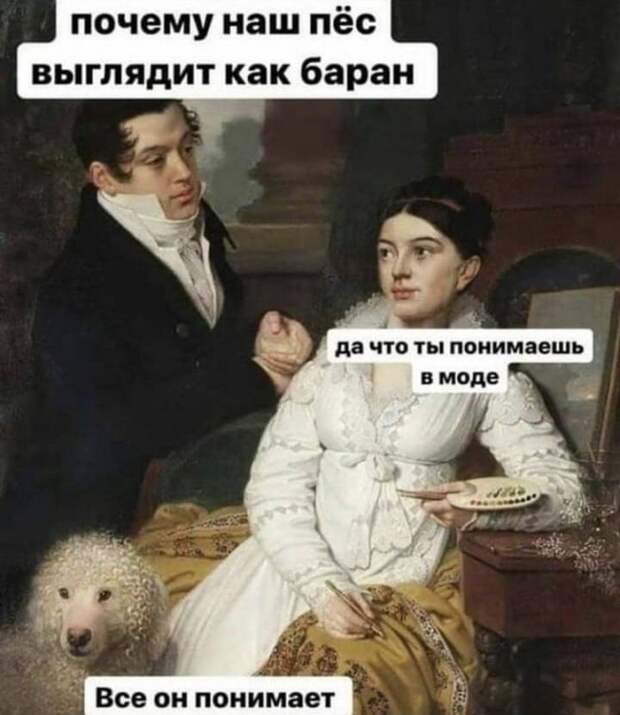 Лучшие шутки и мемы из Сети