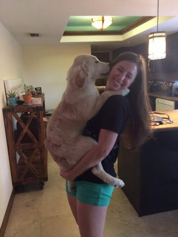 Животные-очаровашки (26 фото)