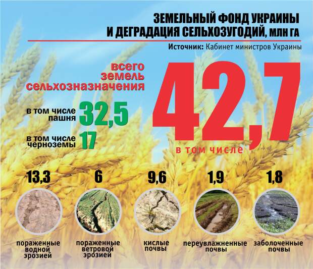 30 лет Бандере под хвост