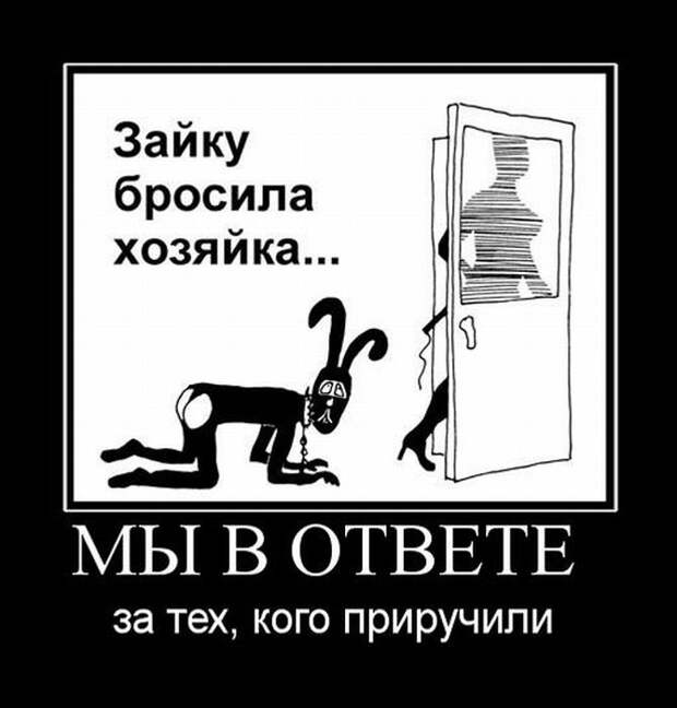 Демотиваторы (30 фото) Демотиваторы (30 фото)