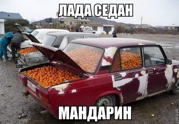 Картинки