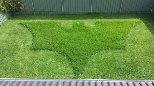 Находчивые мужья, которые точно знают как надо вести себя в браке, чтобы было весело находчивые мужья, смешные случаи брак, супружеская жизнь смешное