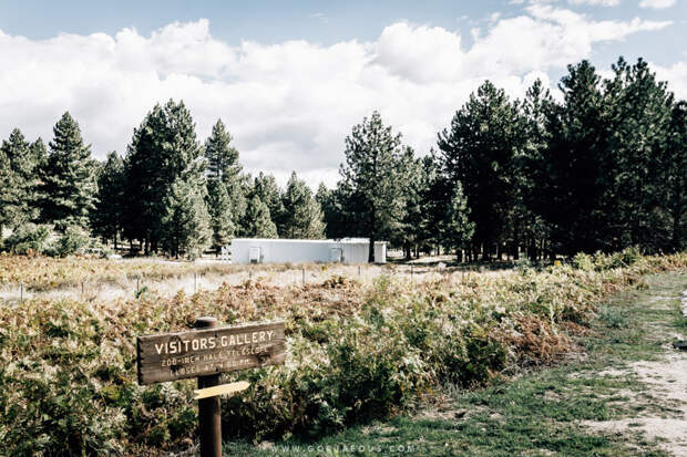 Palomar Observatory-6.jpg