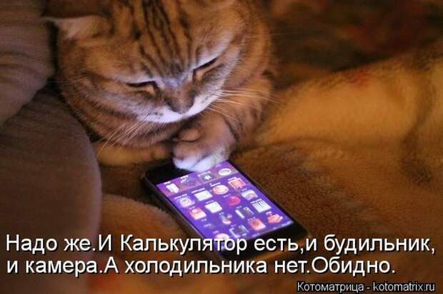 Лучшие котоматрицы недели (50 фото) Лучшие котоматрицы недели (50 фото)