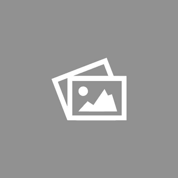 Новый-Год-Красной-Обезьяны_-_290 (231x700, 197Kb)