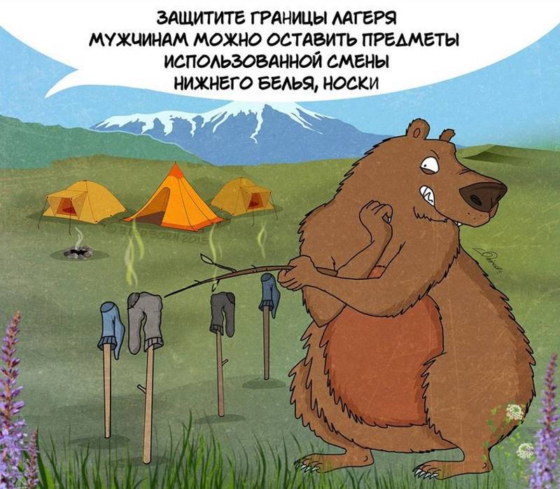 Московский художник нарисовал комикс о правилах поведения с медведями