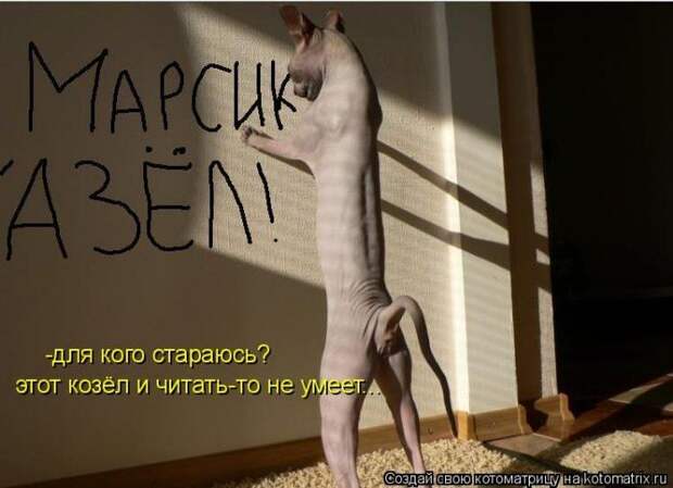 Мысли вслух :)