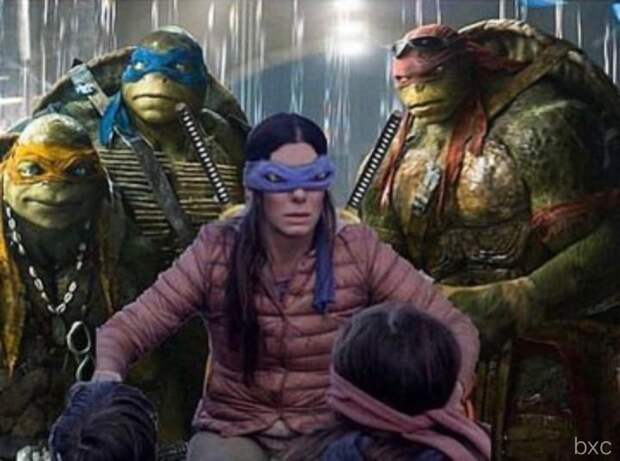 Bird Box meme