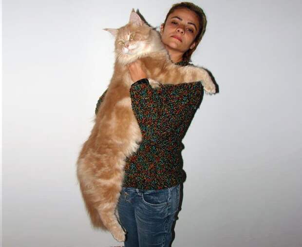 самая большая кошка