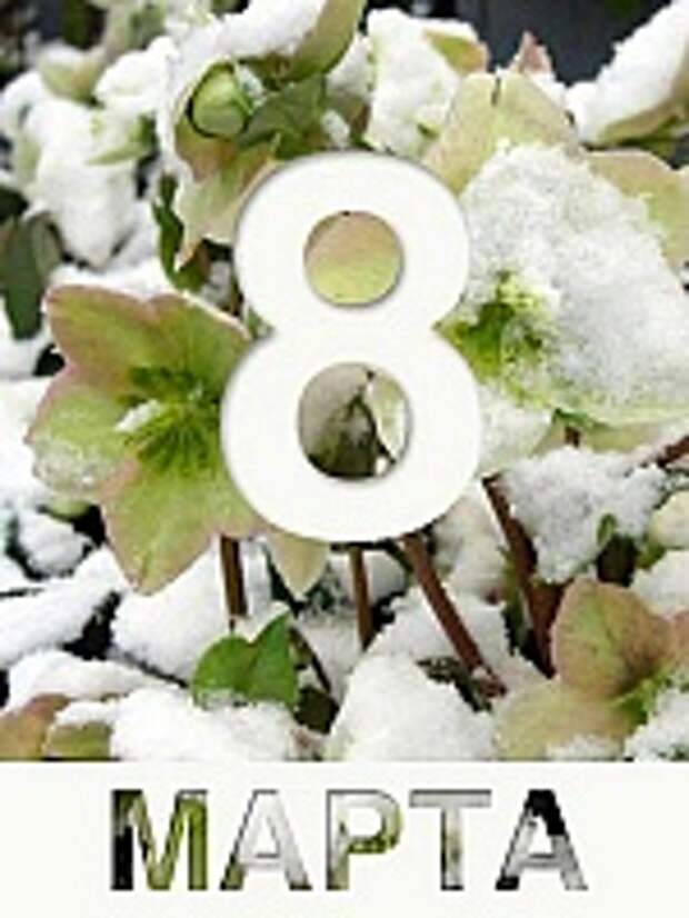 Открытки к 8 марта 16