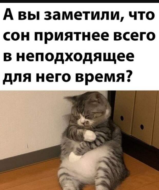 Новые смешные до слёз картинки (22)