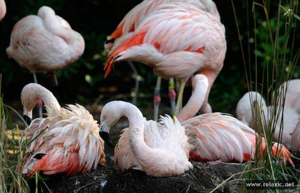 october_020 october_020