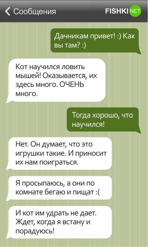 15 смешных СМС о дачниках дача, дачник, смс, юмор