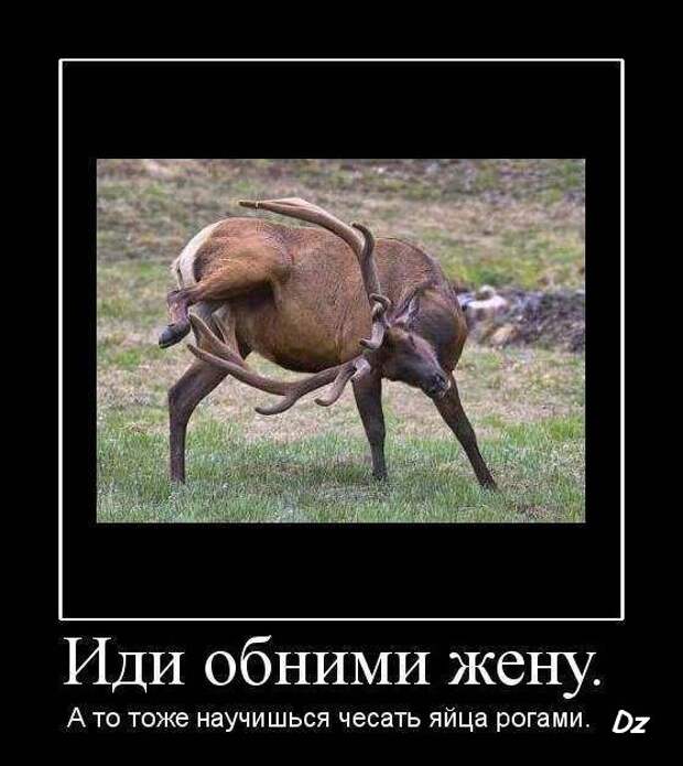 Веселые демотиваторы на утро (11 фото) Веселые демотиваторы на утро (11 фото)