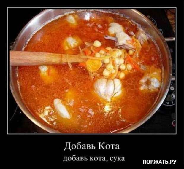 Демотивируемся только прикольными фото сюжетами и надписями.
