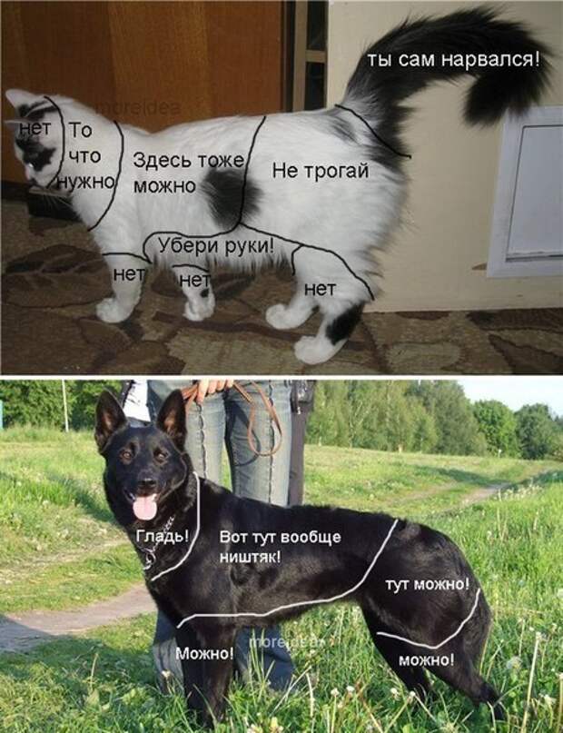 Всяко - разно 9  )))