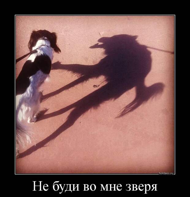 Демотиваторы демотиваторы, прикол, смех, юмор