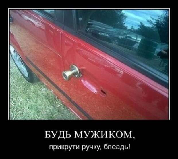 Демотиваторы, юмор дня, фотки с прикольными подписями.