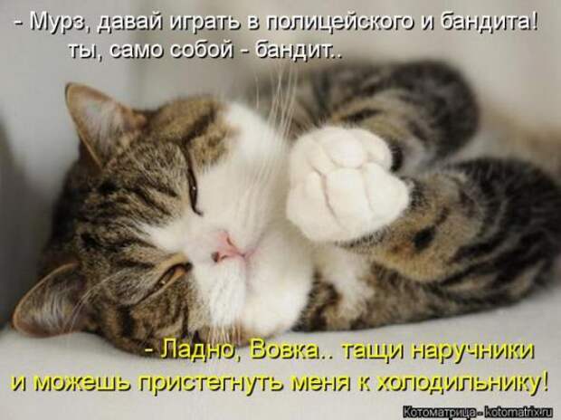 Котоматрицы (картинки с надписями)