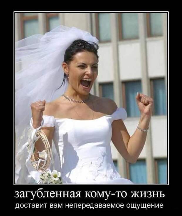Демотиваторы (107 фото)