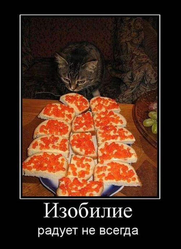 Прикольные демотиваторы на любой вкус (20 фото)