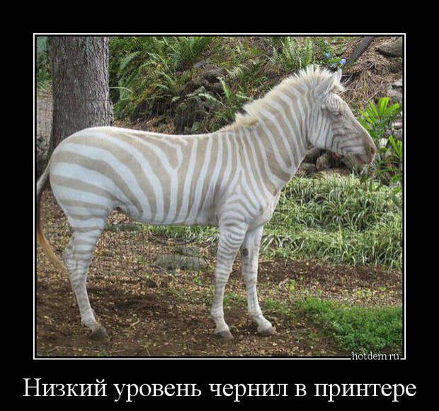 Демотиваторы, часть 269 (28 фото) Демотиваторы, часть 269 (28 фото)