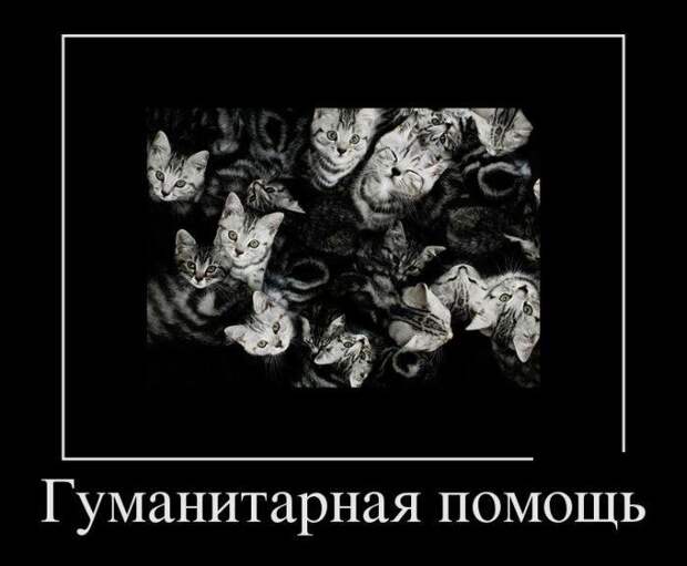 Про Карлсона, Лувр и попытку заглянуть в себя. Свежие демотиваторы