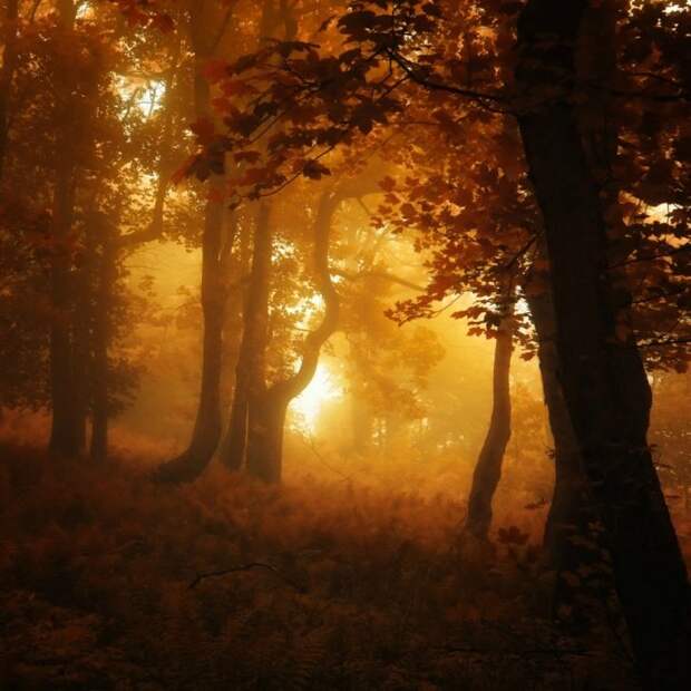 Красивые фотографии чешского фотографа Janek Sedlar