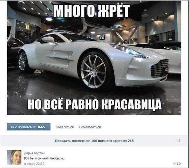 Прикольные картинки