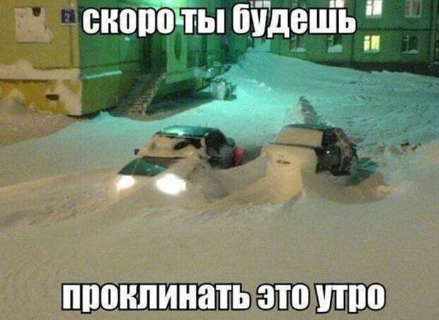 Прикольные и смешные картинки