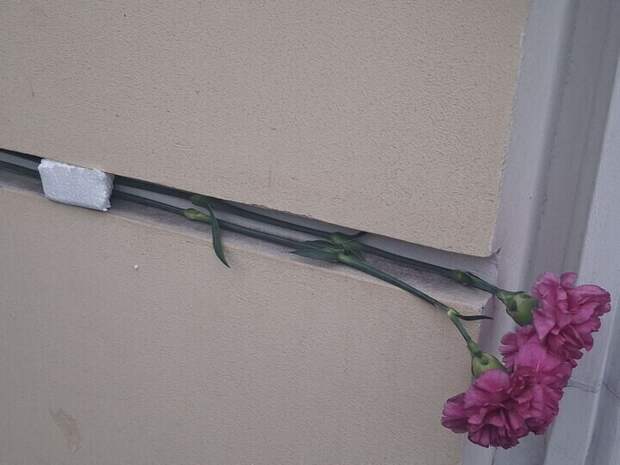 Что случилось с букетами на мемориальной доске Мандельштама после акции 14 января