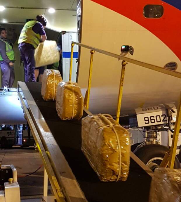 В самолете, который перевозил первых лиц государства в Россию, провезли 400 кг кокаина в чемоданах ynews, аргентина, кокаин, мид, новости, операция, россия, соцсети