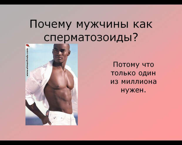 Женщины о мужчинах