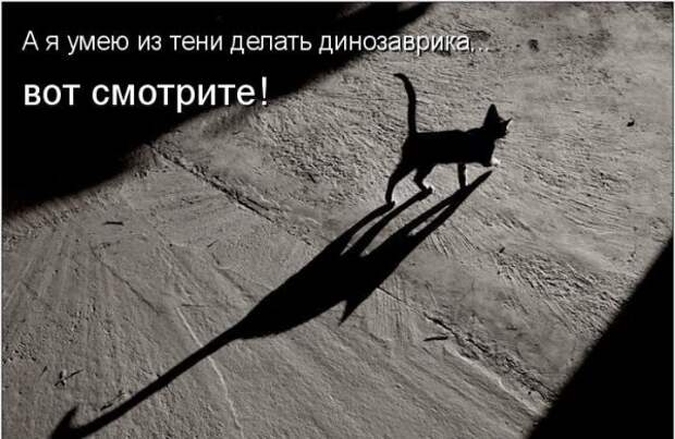 Кото матрица 7