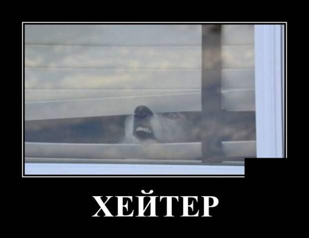 Демотиваторы (30 фото)