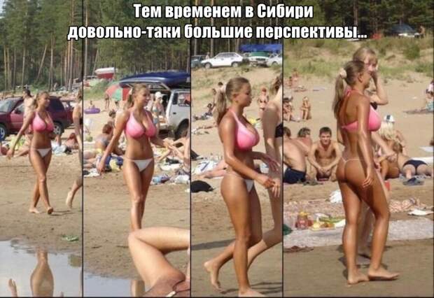 Смешные картинки с подписями катинки, прикол, юмор