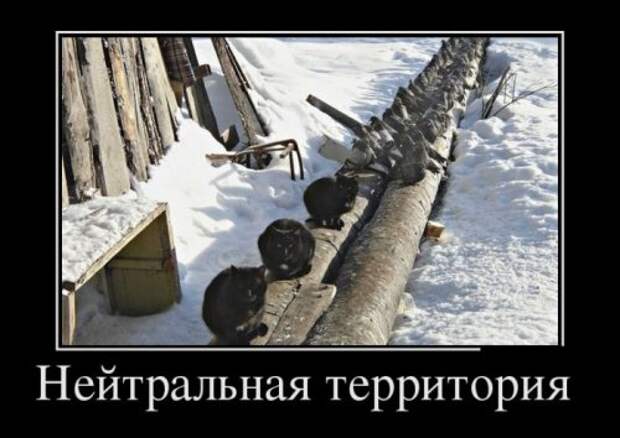 Демотиваторы злобные