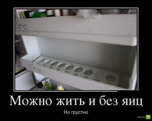 Демотиваторы на июль, часть 4 (30 фото) Демотиваторы на июль, часть 4 (30 фото)