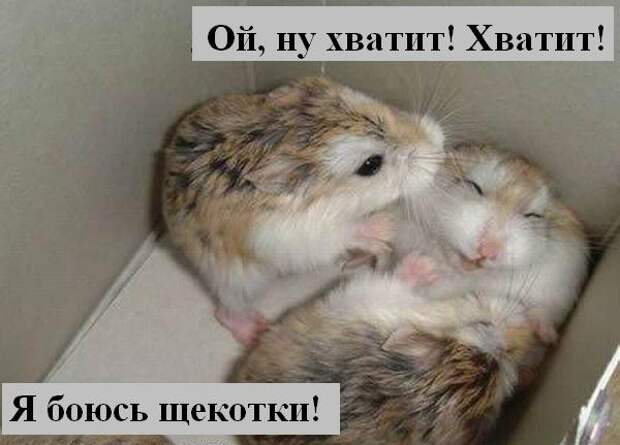 Мысли :) (50мыслей)