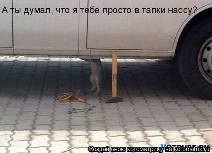 Мысли вслух :)