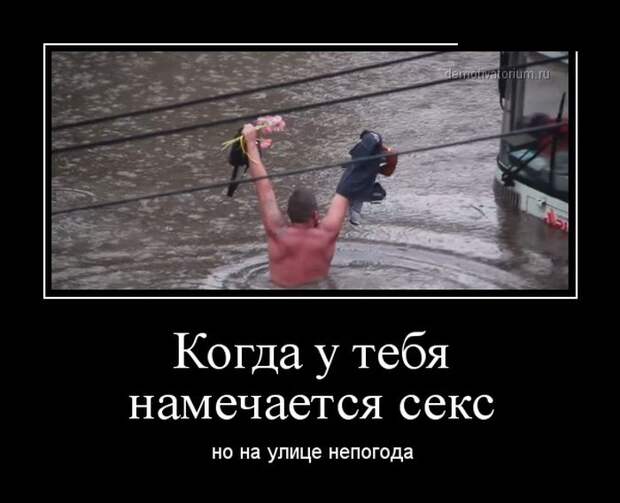 Демотиваторы (30 фото) Демотиваторы (30 фото)