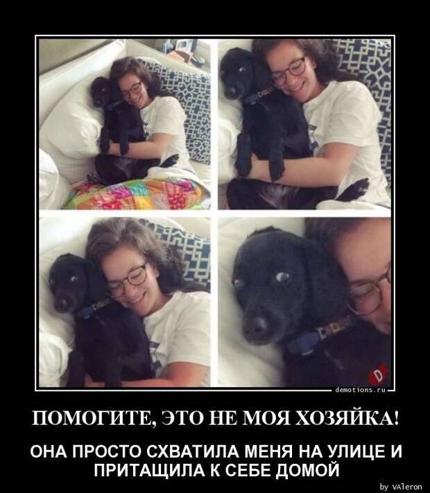 1587452352_demki-14.jpg